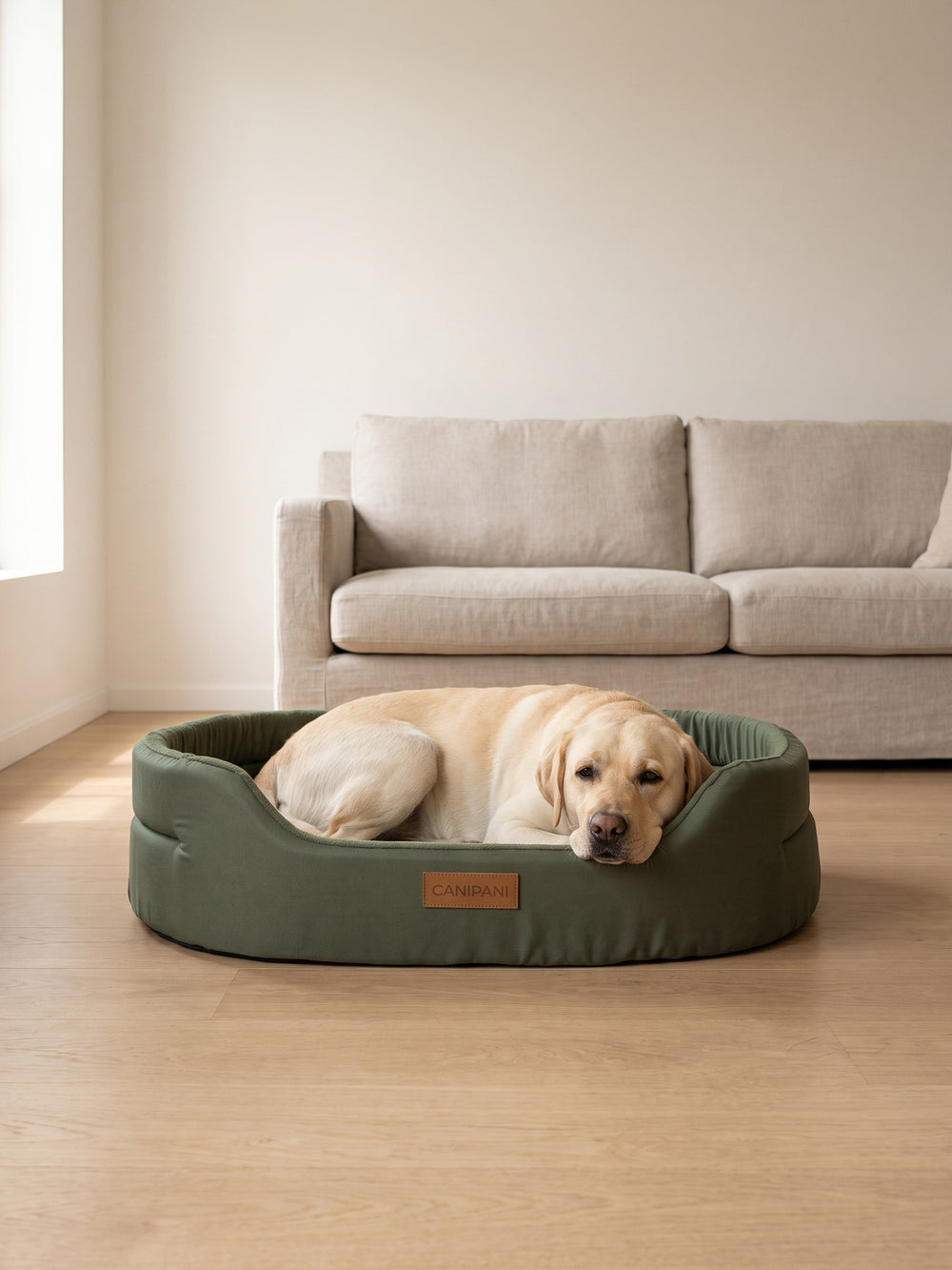 Panier pour chien