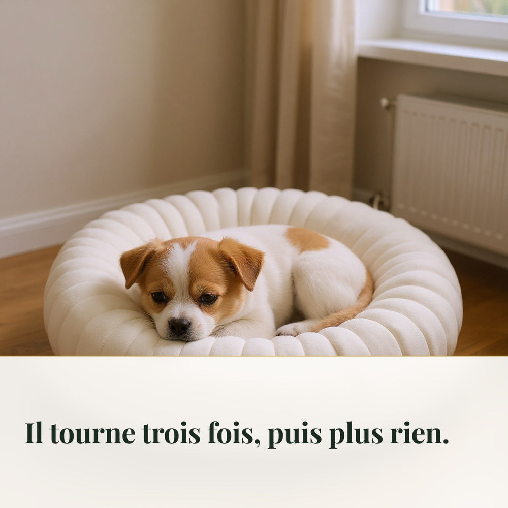 Panier chien rond bouclette CANIPANI — vécu : Il tourne trois fois, puis plus rien.