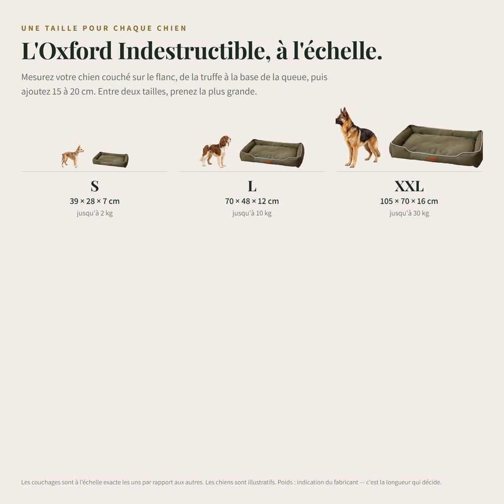 Panier chien indestructible en toile Oxford CANIPANI — les tailles à l'échelle, avec un chien du gabarit correspondant