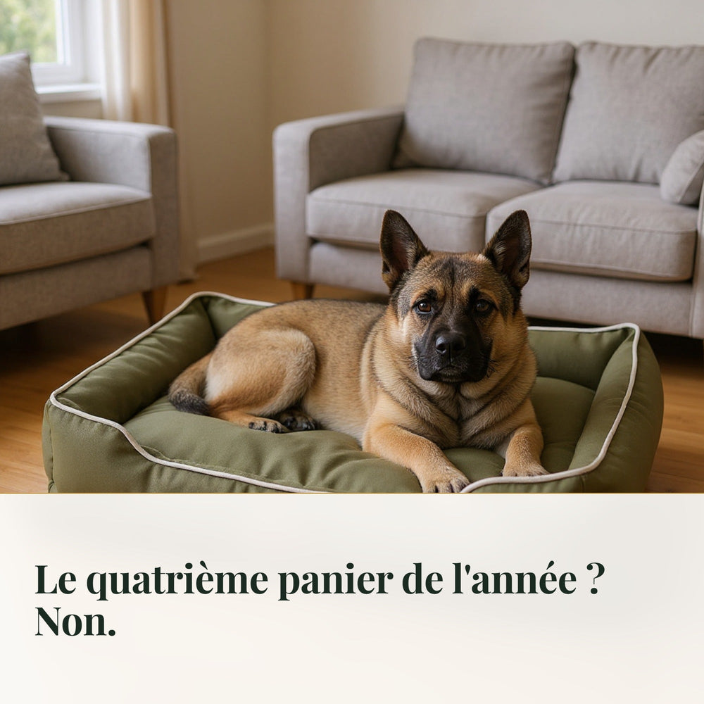 Panier chien indestructible en toile Oxford CANIPANI — vécu : Le quatrième panier de l'année ? Non.