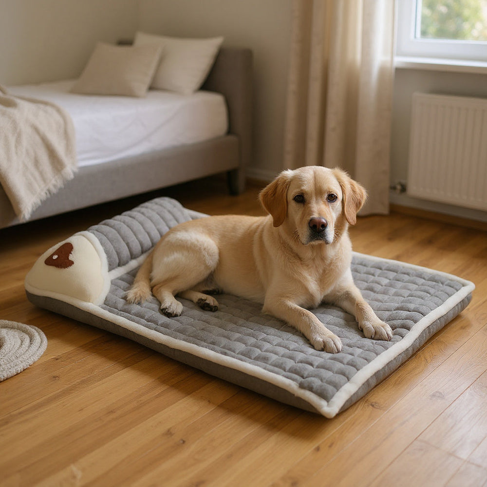 Panier chien orthopédique à mémoire de forme CANIPANI en 3XL — 100 × 70 cm, avec un golden retriever âgé installé dedans