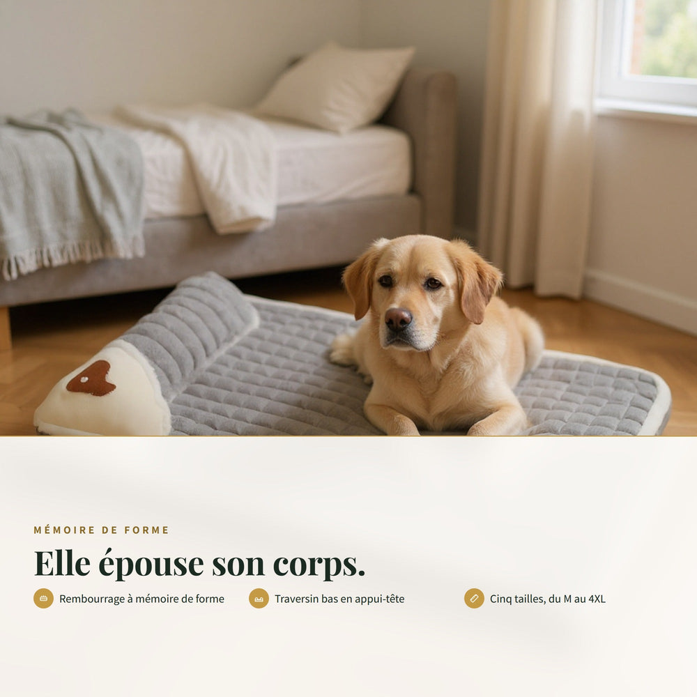 Panier chien orthopédique à mémoire de forme CANIPANI — MÉMOIRE DE FORME : Elle épouse son corps.