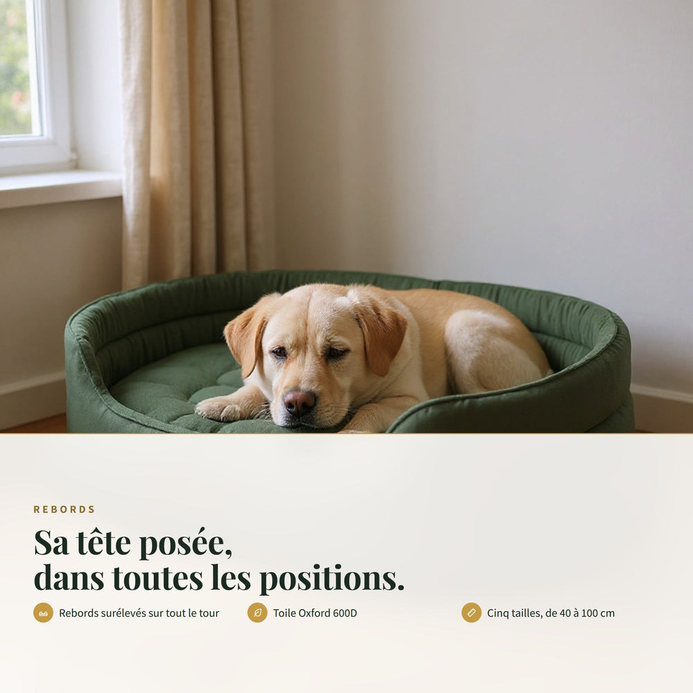 Panier pour chien ovale à rebords CANIPANI — REBORDS : Sa tête posée, dans toutes les positions.