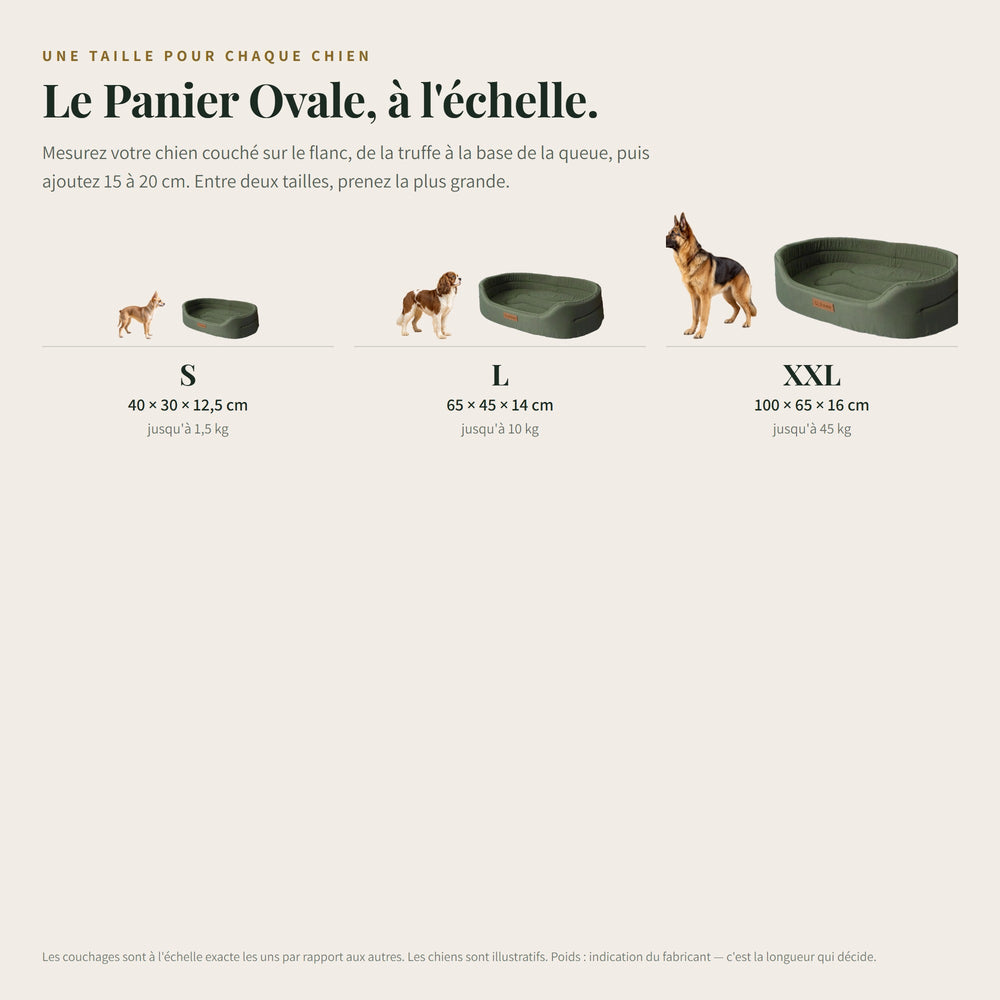 Panier pour chien ovale à rebords CANIPANI — les tailles à l'échelle, avec un chien du gabarit correspondant