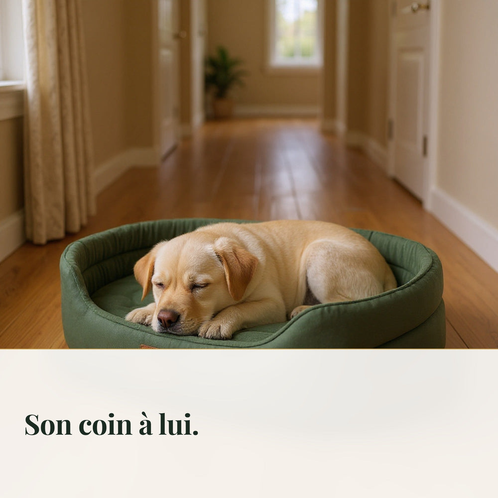 Panier pour chien ovale à rebords CANIPANI — vécu : Son coin à lui.