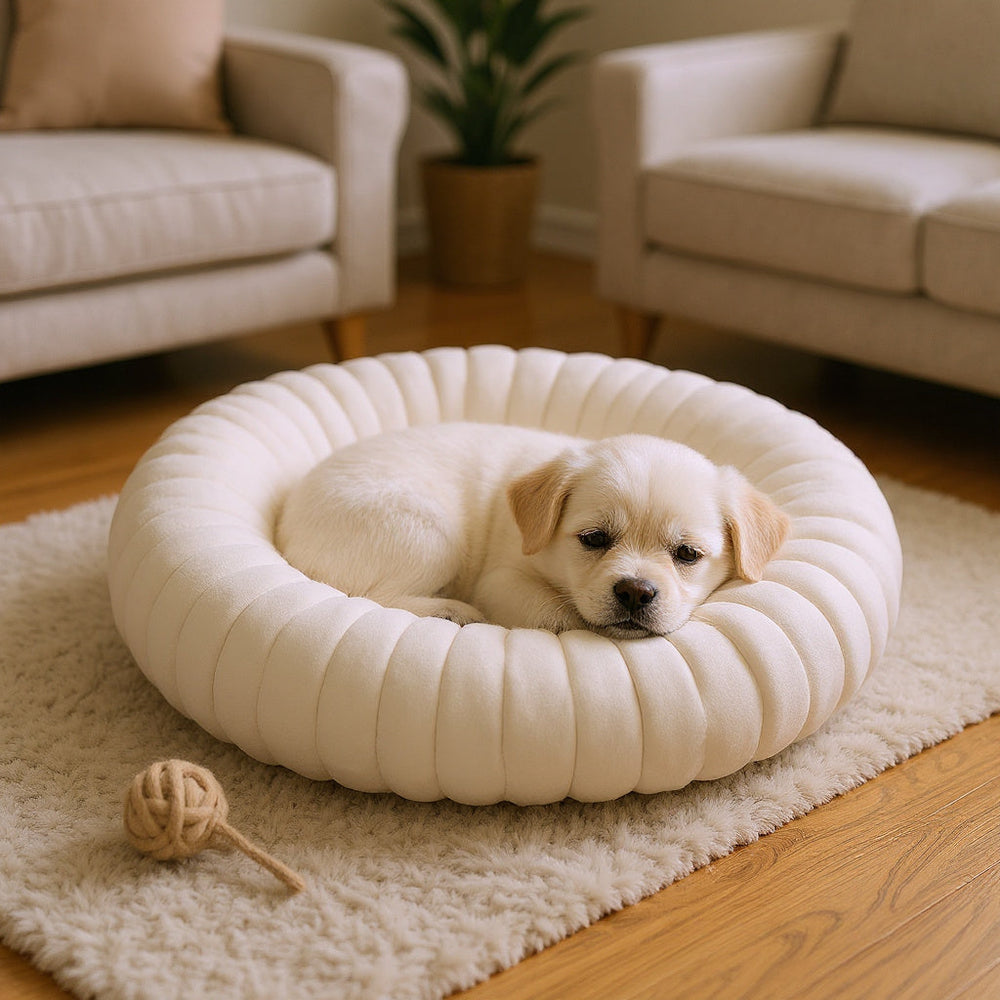 Panier chien rond bouclette CANIPANI en M — Ø 50 cm, avec un bichon frisé installé dedans