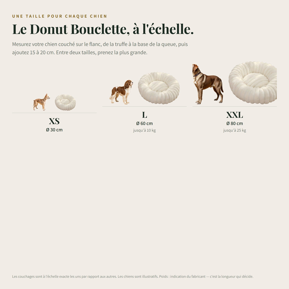 Panier chien rond bouclette CANIPANI — les tailles à l'échelle, avec un chien du gabarit correspondant